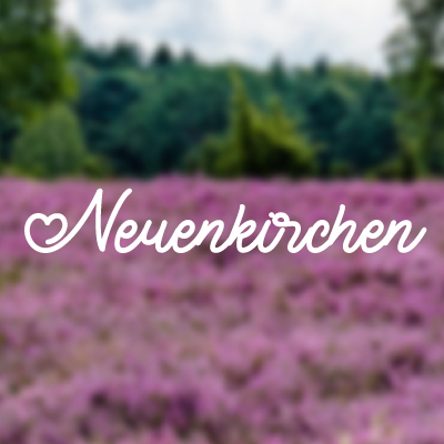 Bild5