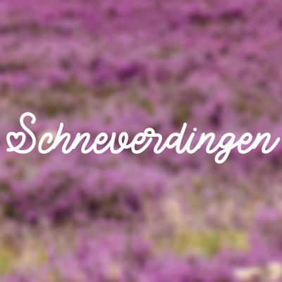 Bild6